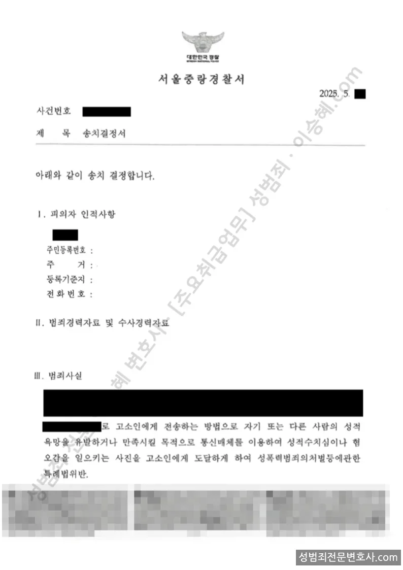피해자대리(성공) 처분문서