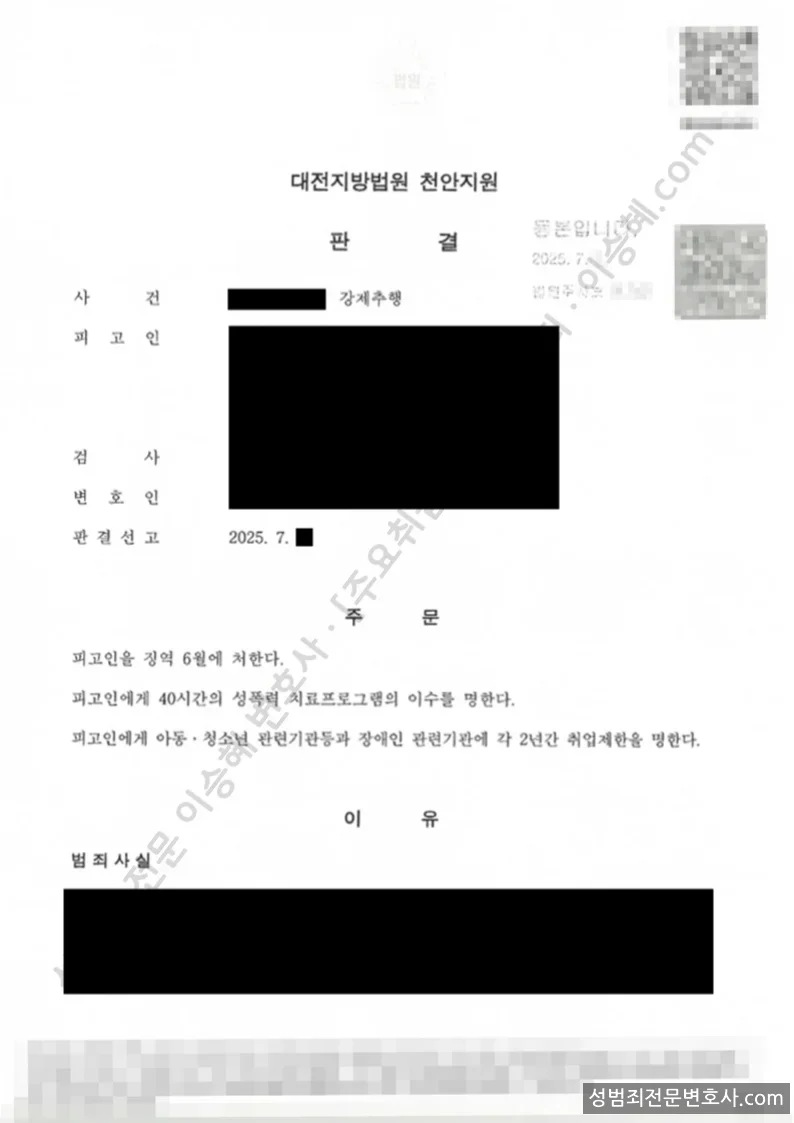 피해자대리(성공) 처분문서